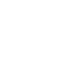 icons8-verified-drivers-100